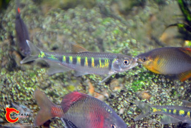 DSC_4152.JPG
