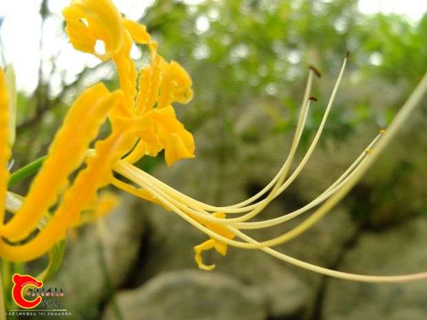 DSCF9889.JPG