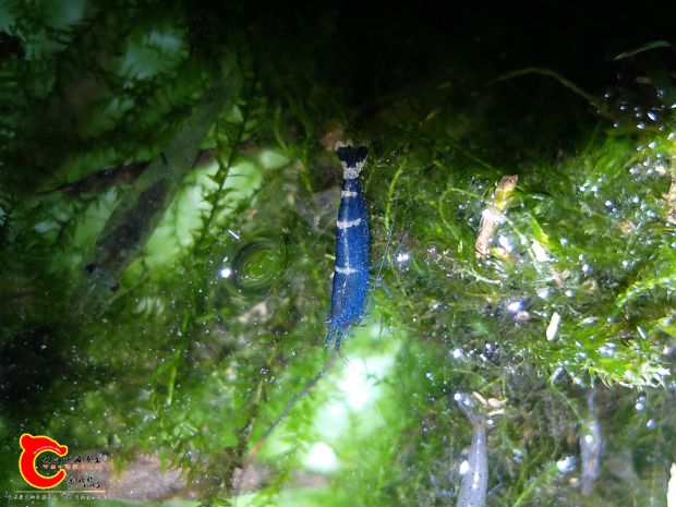 DSCF1099.JPG