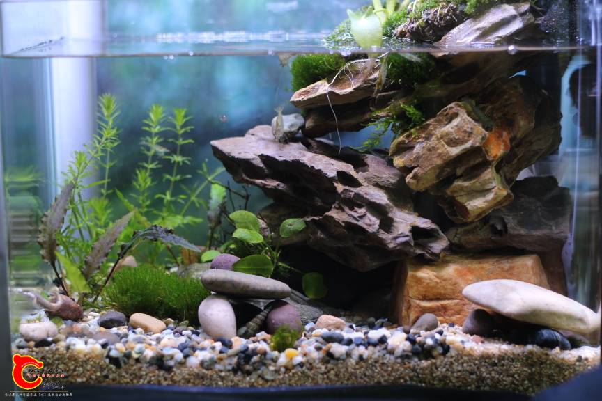 140948cdr0a62he9a2y1r9.jpg