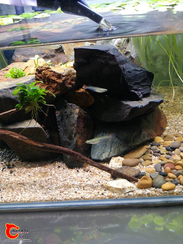 200952q0ottp09050e85bx.jpg