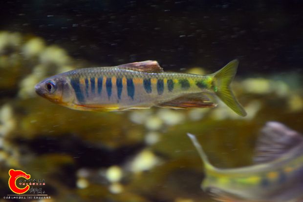 DSC_4283.JPG