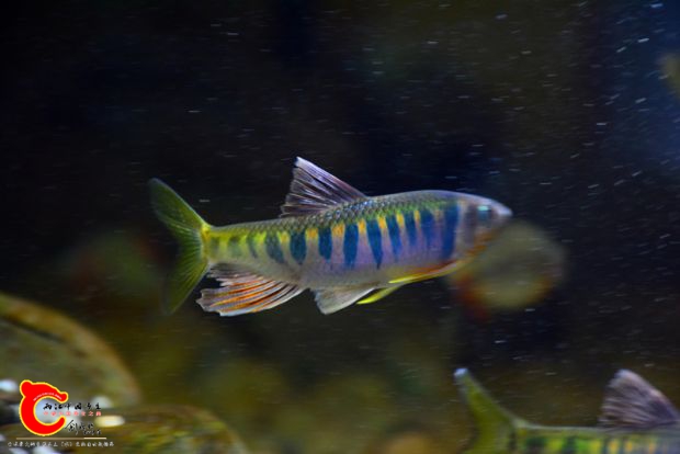 DSC_4289.JPG
