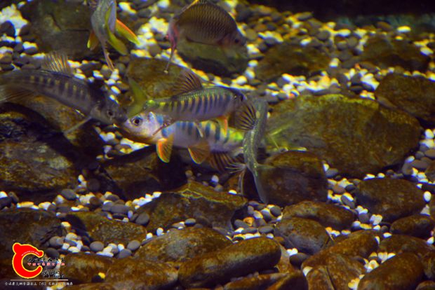 DSC_4272.JPG