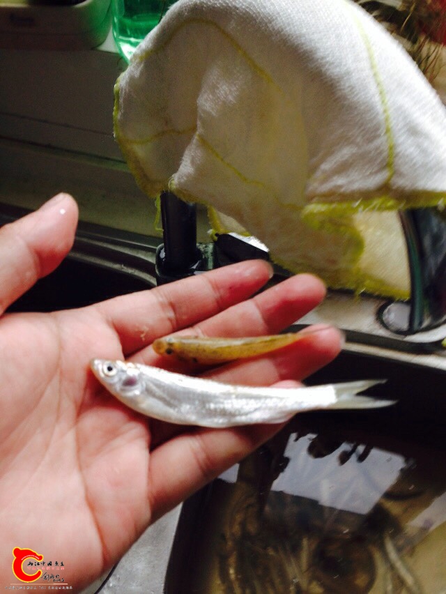 130926mqbbxbbbgqzbtuel.jpg