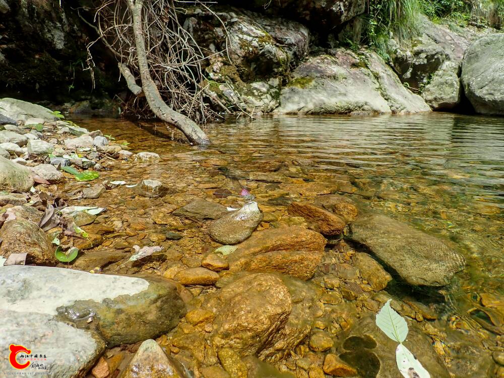 190500thueugfehle1z5ha.jpg