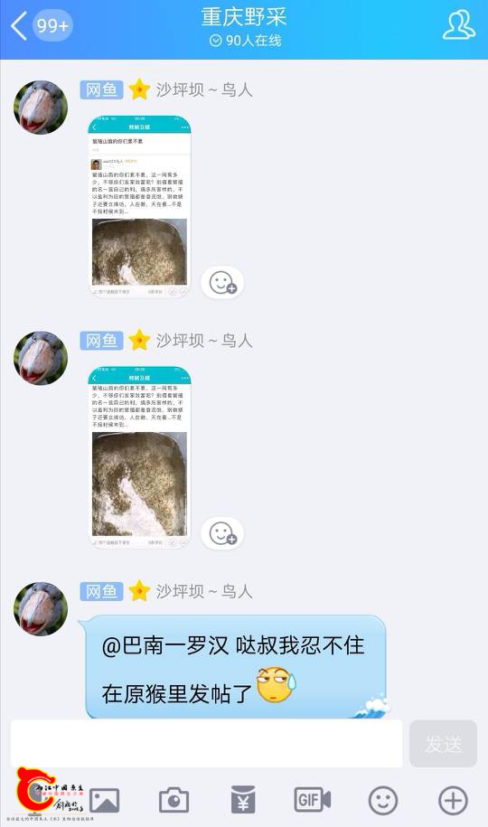 062037ah88j8z8179l285h.jpg