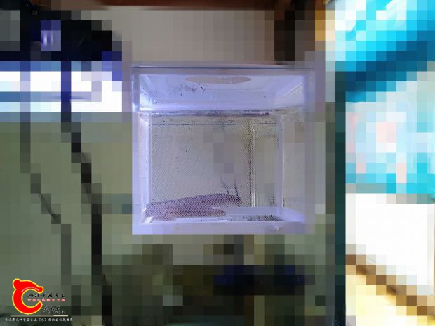 psb_副本.jpg