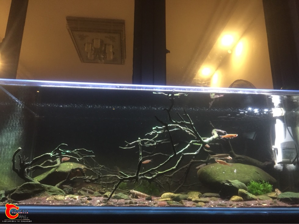 220743f5xp62e09y2zs990.jpg