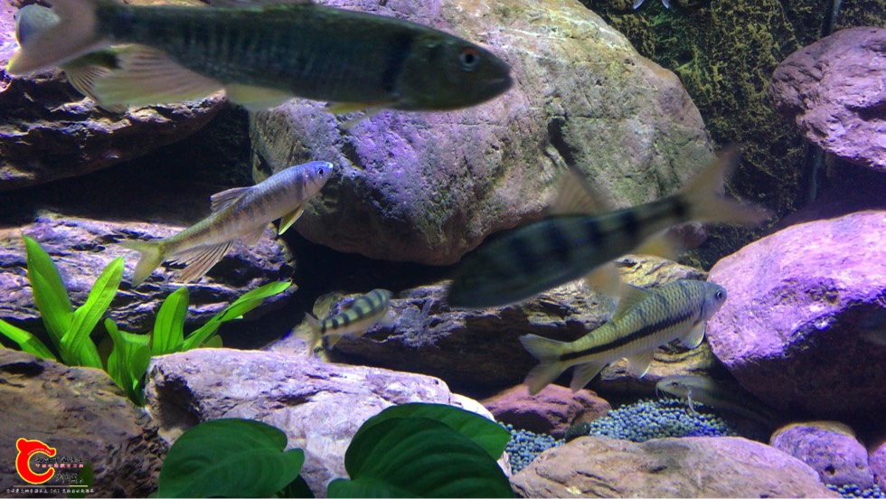 153803kg3v26u63ilxujpb.jpg