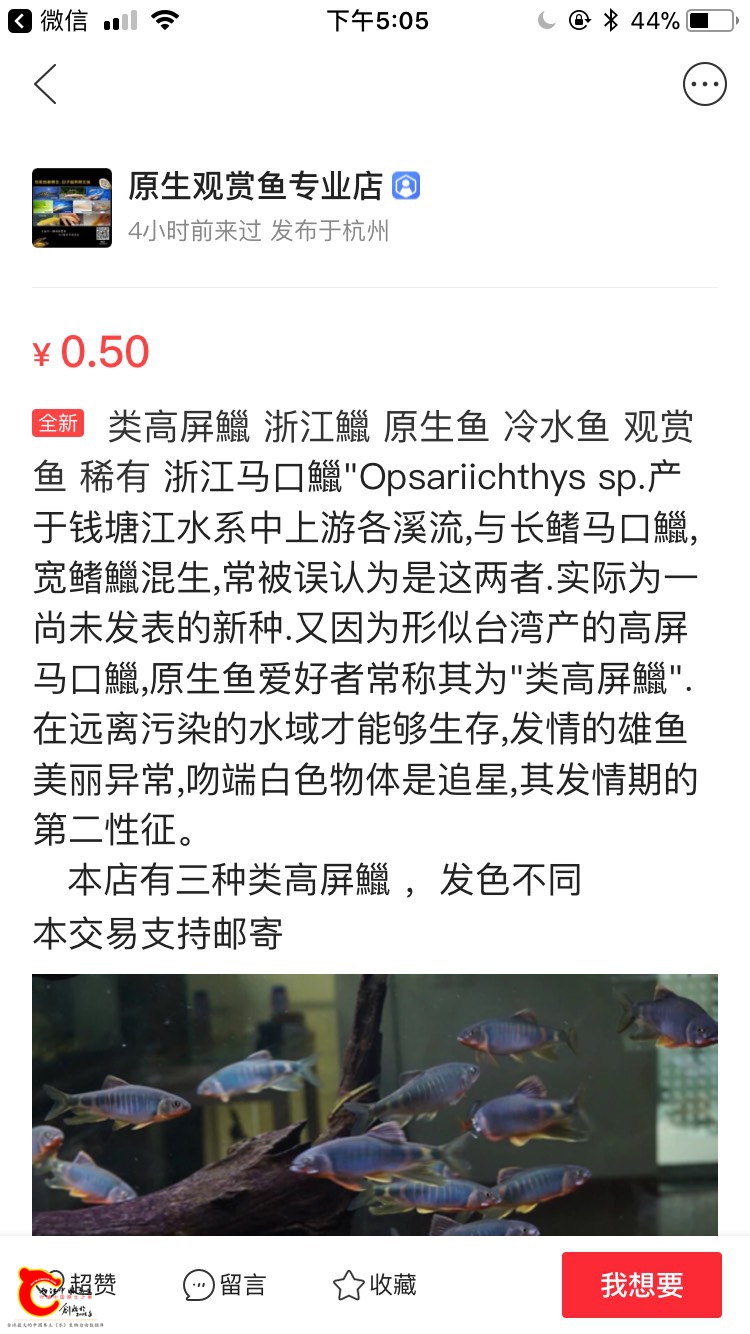 170841eoydyjqyyciw6fpq.jpg