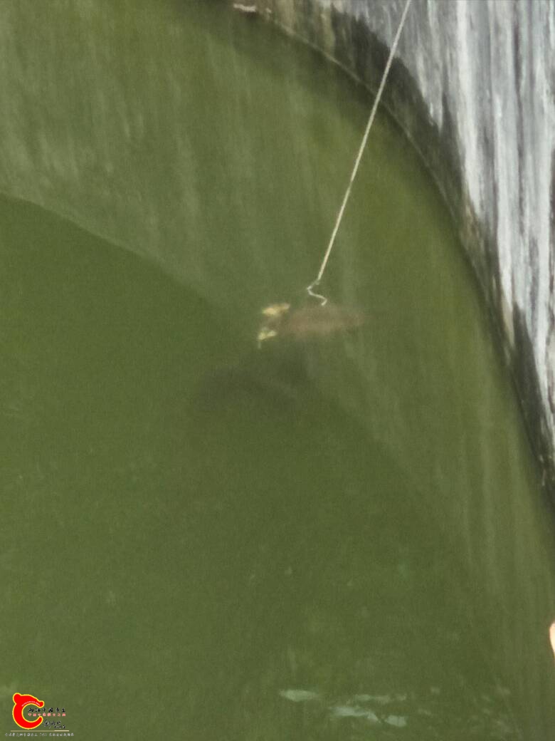 005355vmay6bapxpm3rzbq.jpg 005355vmay6bapxpm3rzbq.jpg