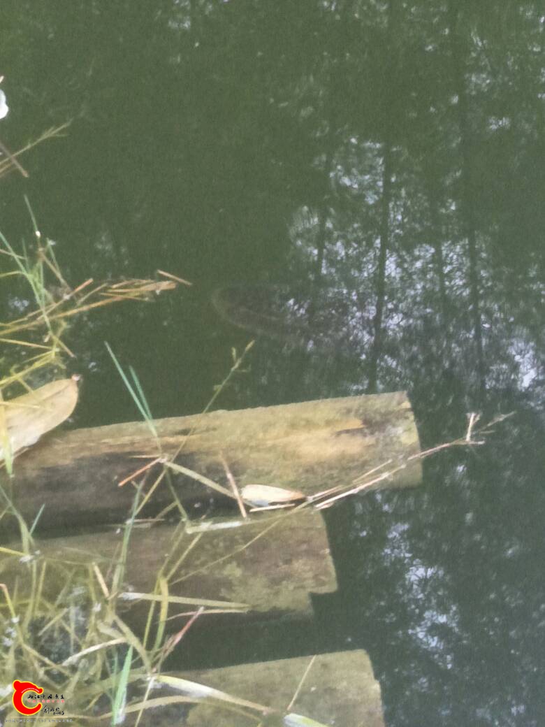 005359bppssuq87t8tmh5p.jpg 005359bppssuq87t8tmh5p.jpg