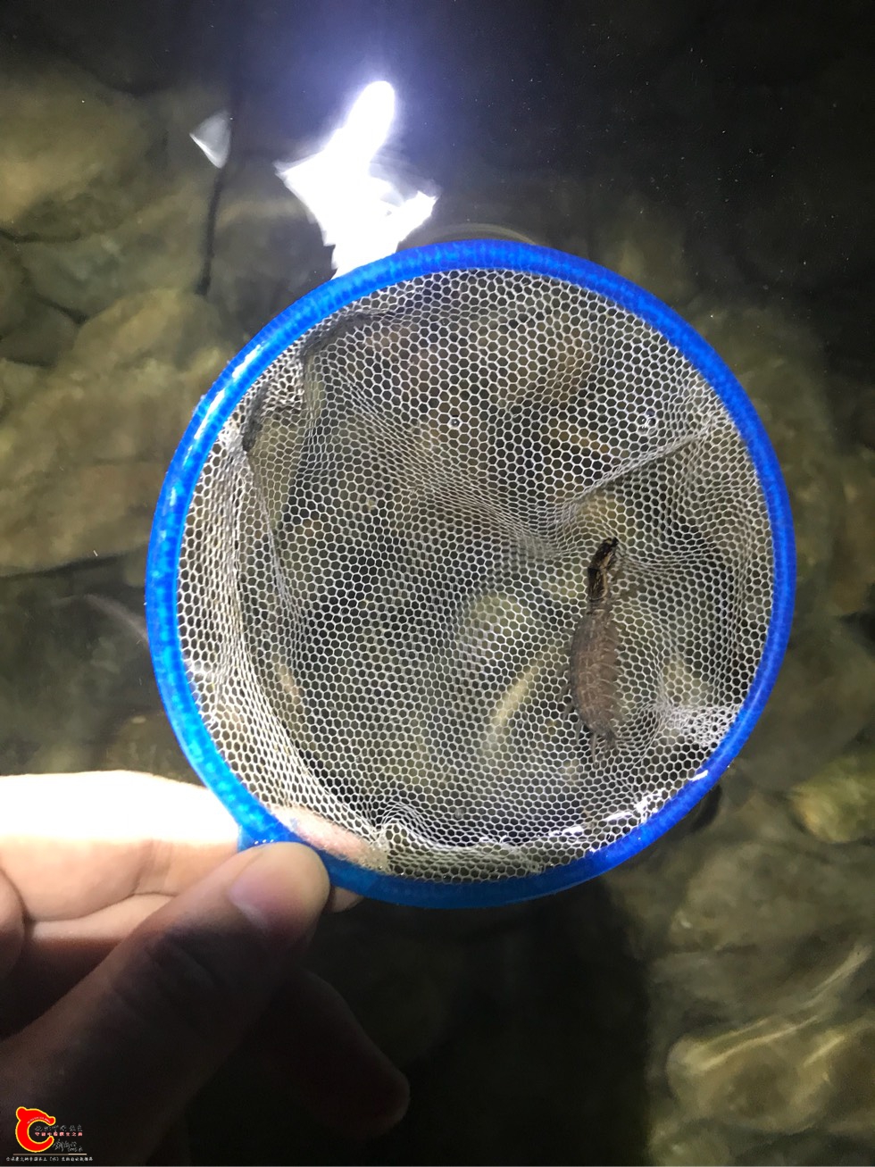 185900ohx344o4h03qd64d.jpg 185900ohx344o4h03qd64d.jpg