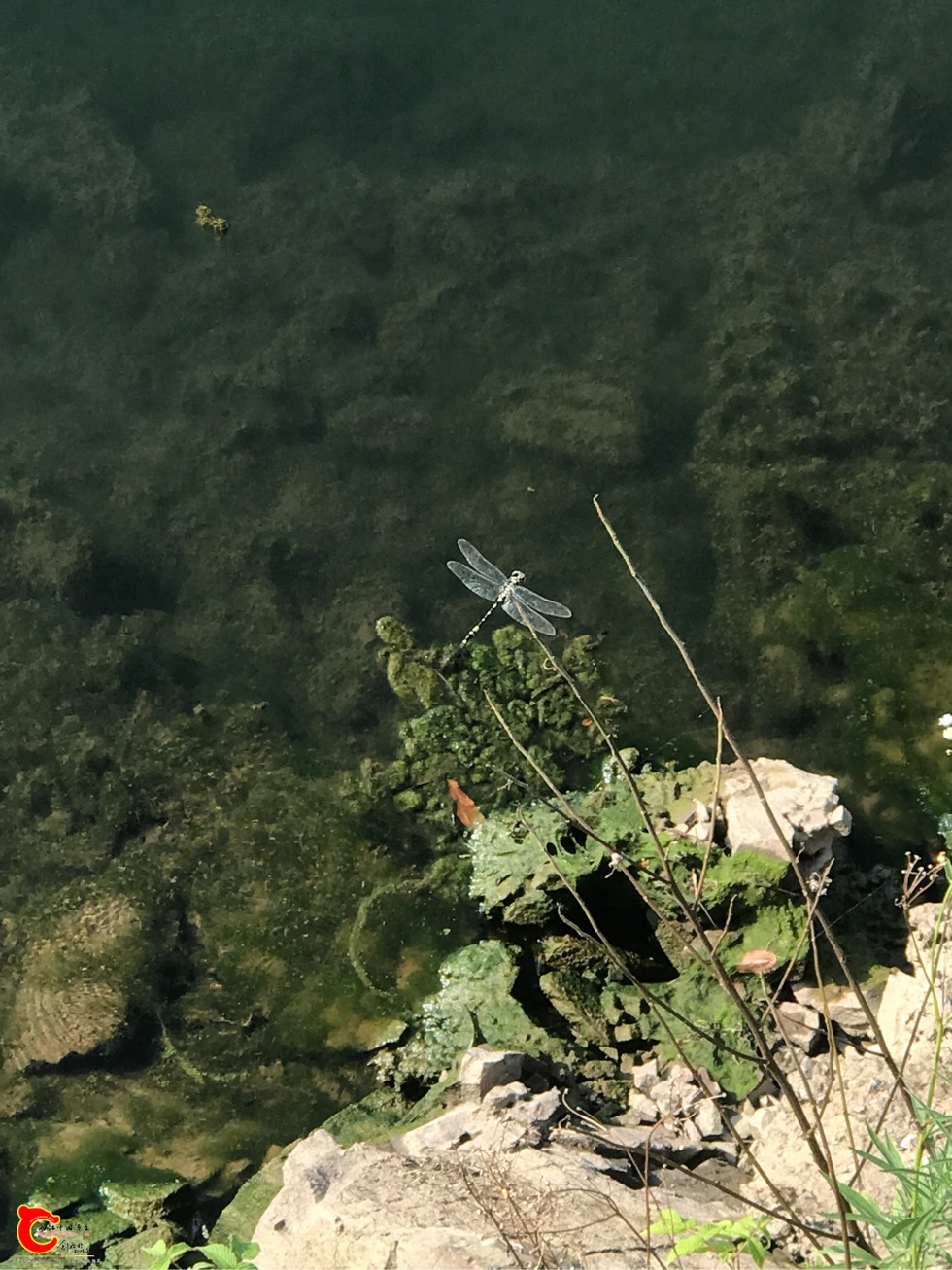 185904bntn7tkmd2d8nh2m.jpg 185904bntn7tkmd2d8nh2m.jpg