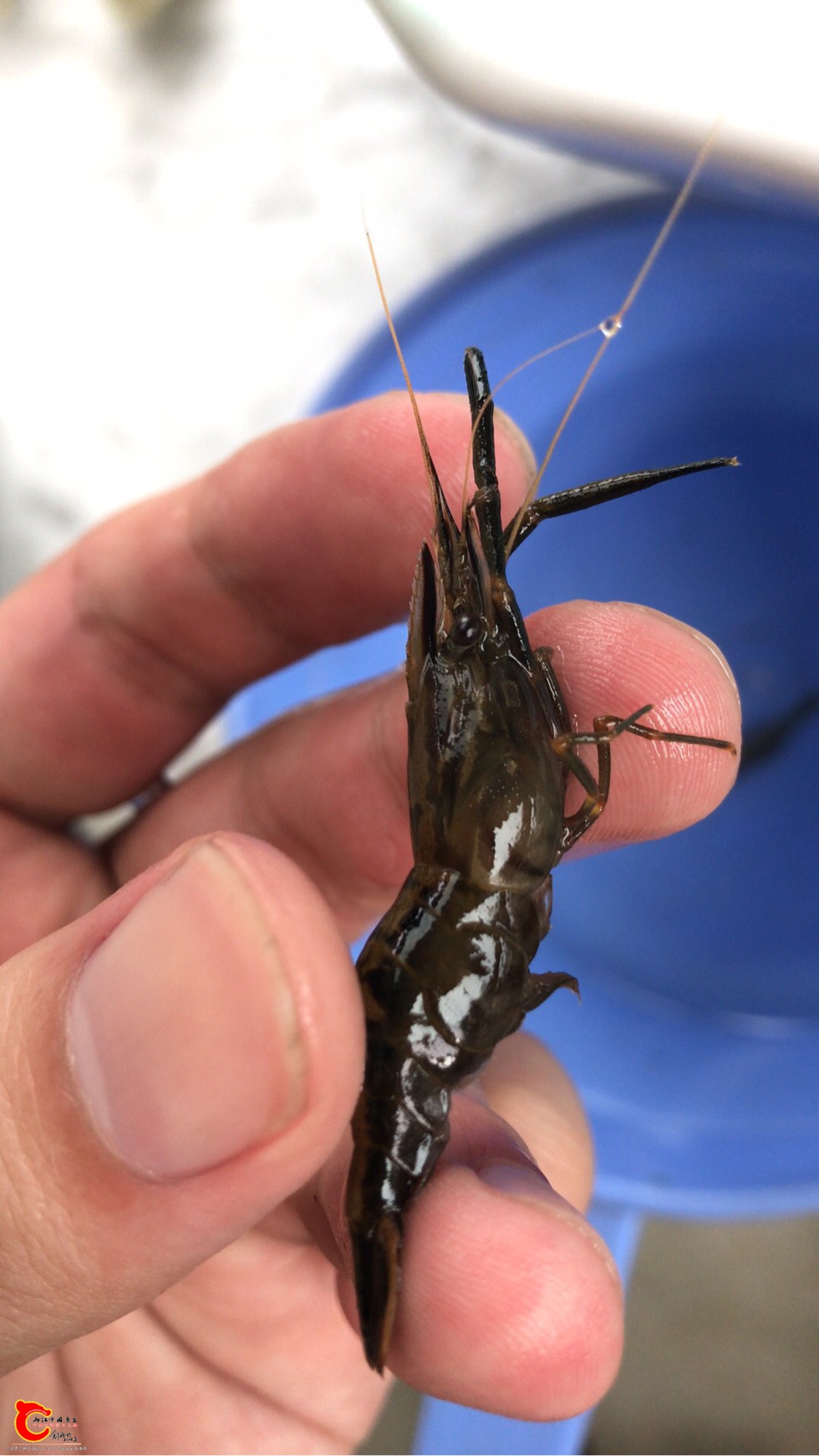 185906a1wh4rhrptktwqrh.jpg 185906a1wh4rhrptktwqrh.jpg