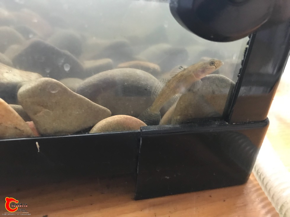 185909ems7bd4z2q2v33i3.jpg 185909ems7bd4z2q2v33i3.jpg