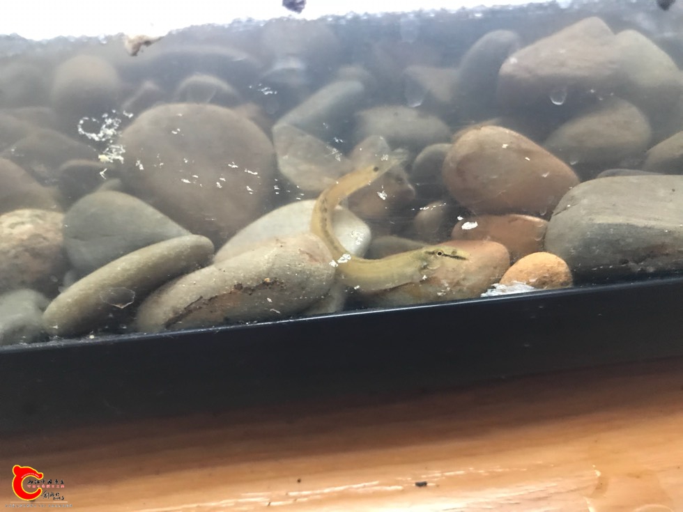 185911n1o0dg2lrwdwm22m.jpg 185911n1o0dg2lrwdwm22m.jpg