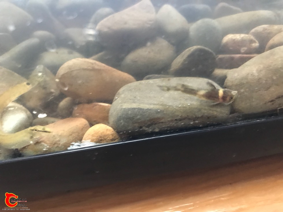 185912blj2nz2vahjaqalo.jpg 185912blj2nz2vahjaqalo.jpg