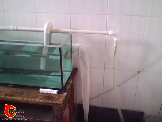 2013 003.jpg