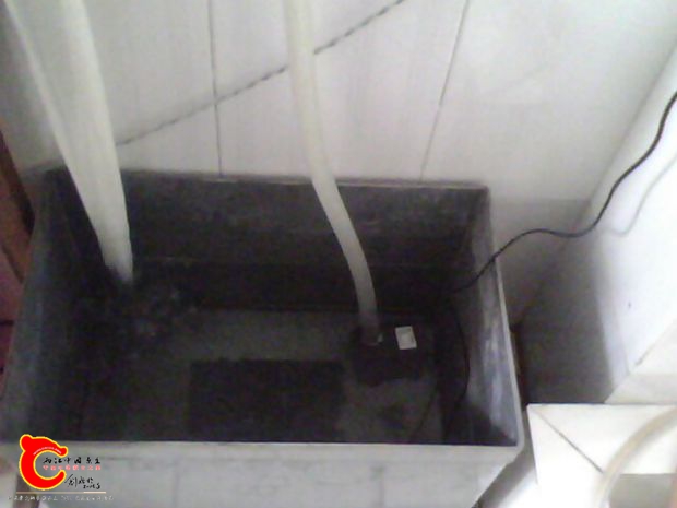 2013 004.jpg