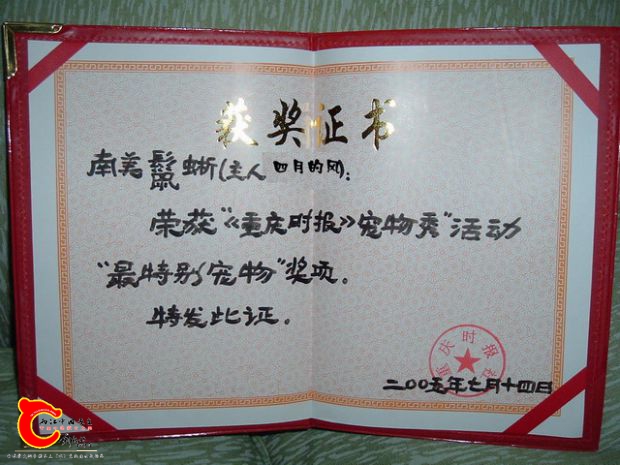 DSCF16351.JPG
