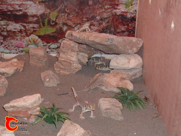 DSCF0478.JPG