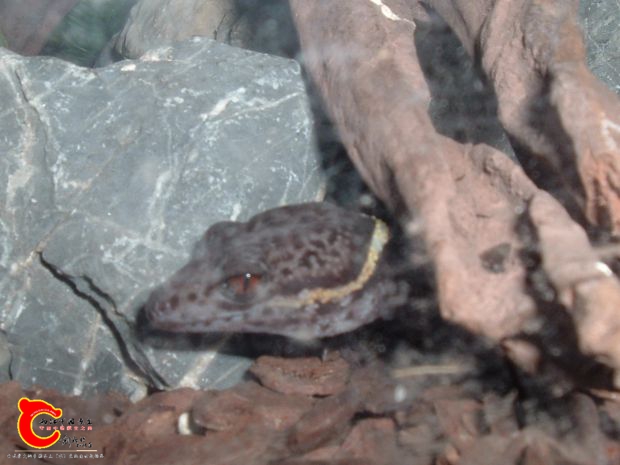 DSCF1276.JPG