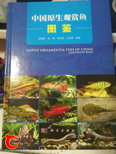 微信图片_20180726223957.jpg