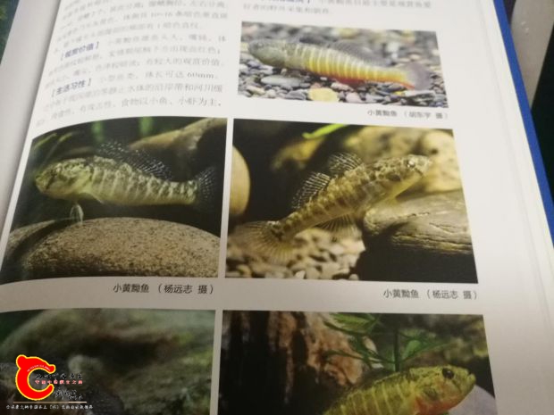 微信图片_20180726224008.jpg