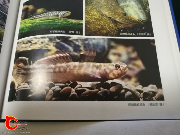 微信图片_20180726224017.jpg