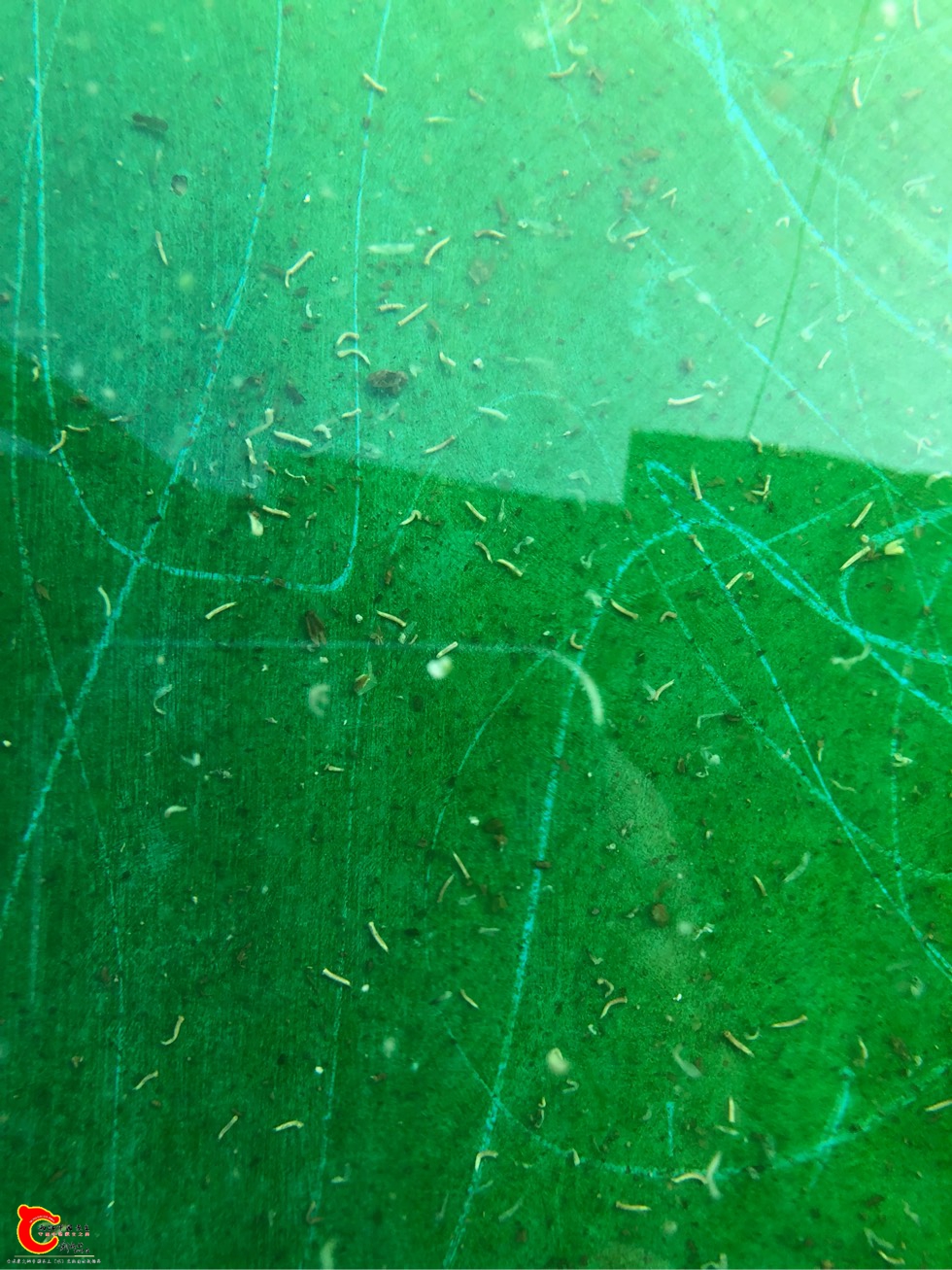 222439jjw336f3x6nx6xea.jpg