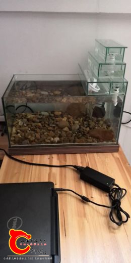 QQ图片20180615210016.jpg