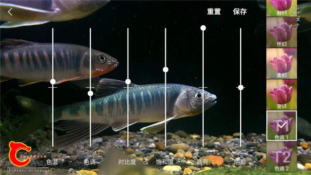 Screenshot_20180727-214533_Camera.jpg