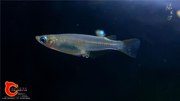 20180603_225332.jpg