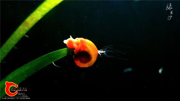 20170604_233813~2.jpg