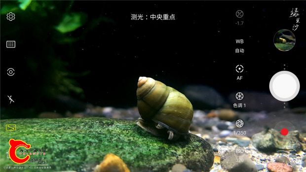 Screenshot_20180731-202026_Camera.jpg