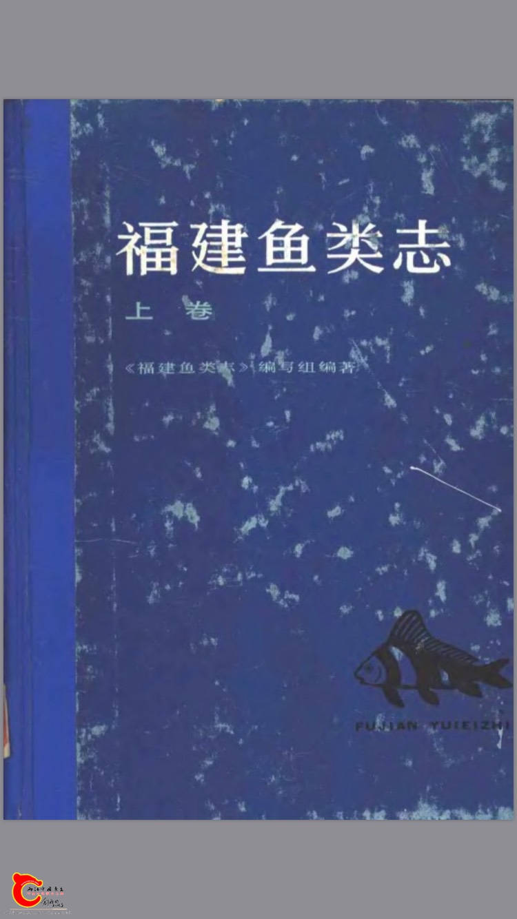 233629q5hajacaynaluhda.jpg