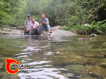 153519jiprb4rpikyys525.jpg
