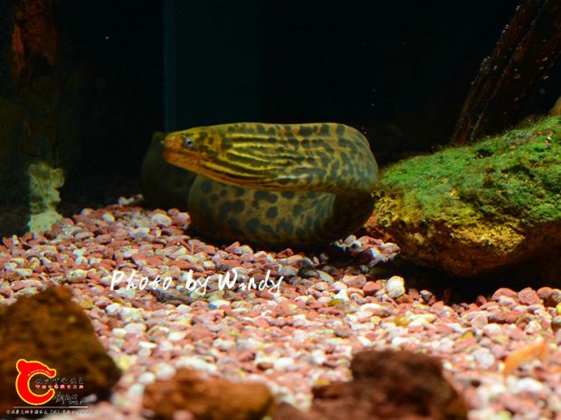 DSC_2221_副本.jpg