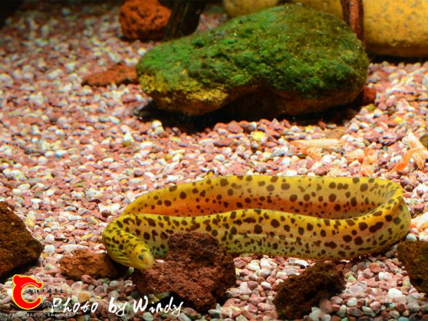 DSC_2256_副本.jpg