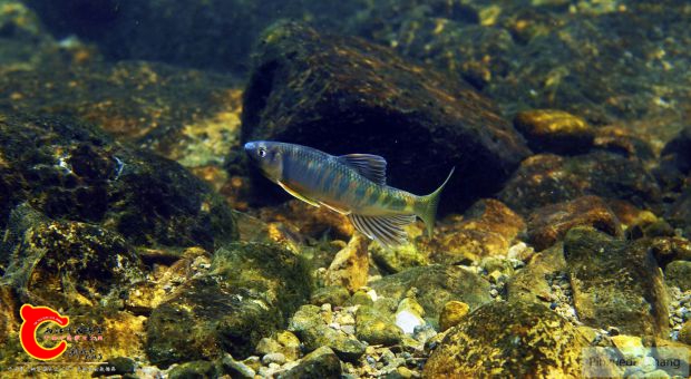 _DSC3029.jpg