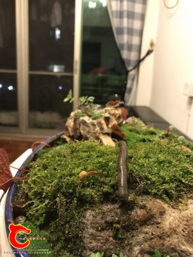 微信图片_2018081115221413.jpg