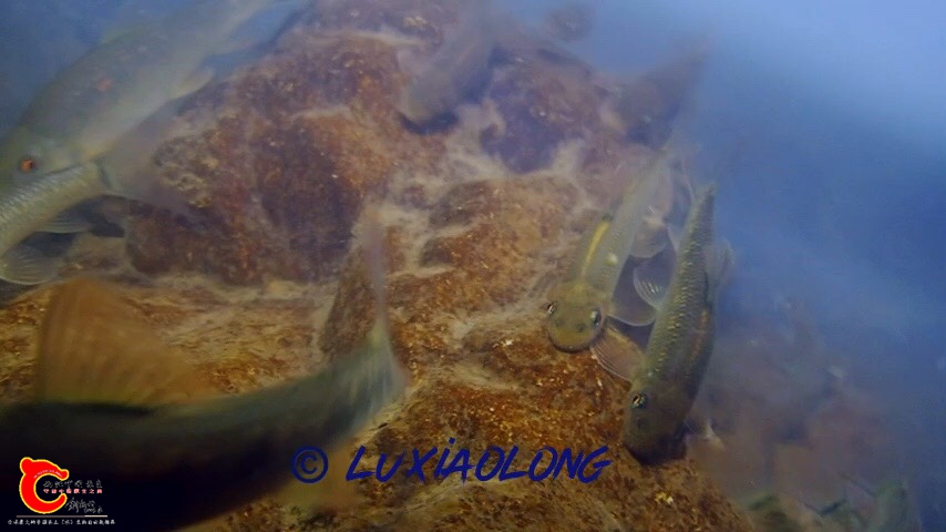 105225yhovh6pqx9h8qihl.jpg