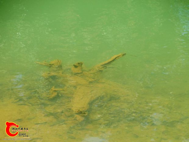 DSC00173_副本.jpg