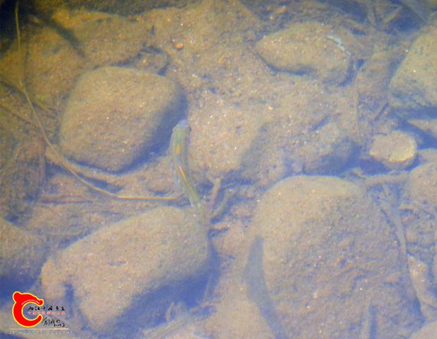 DSC00176_副本.jpg