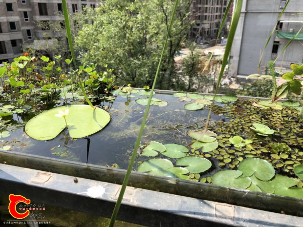 微信图片_20180820112620.jpg