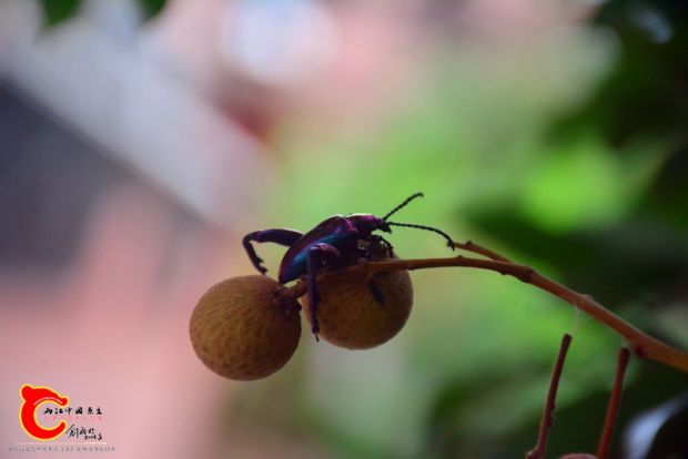DSC_4320.JPG