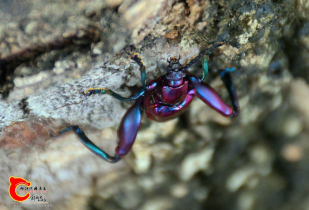 DSC_4330.JPG