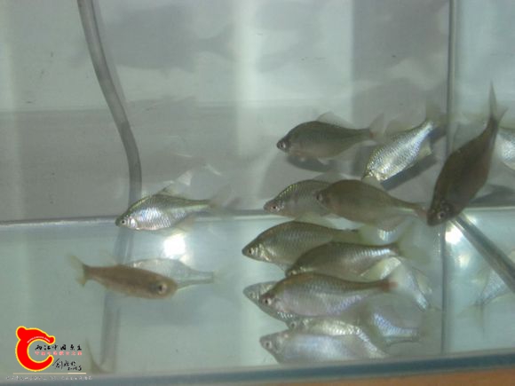 2345_image_file_copy_63.jpg